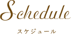 スケジュール
